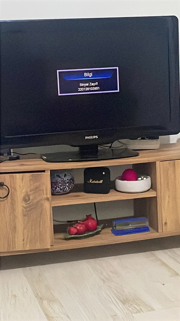 Yeni uydu aldım hala aynı sorun devam ediyor, televizyondan anlayan var mı?