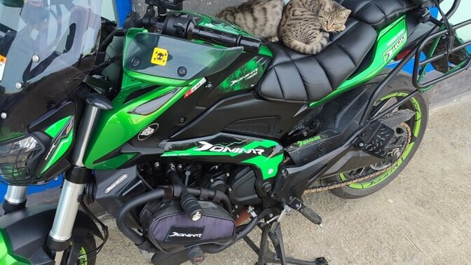 Ben motorumdan çok memnunum, sizin de böyle karizmatik bir motorunuz var mı?