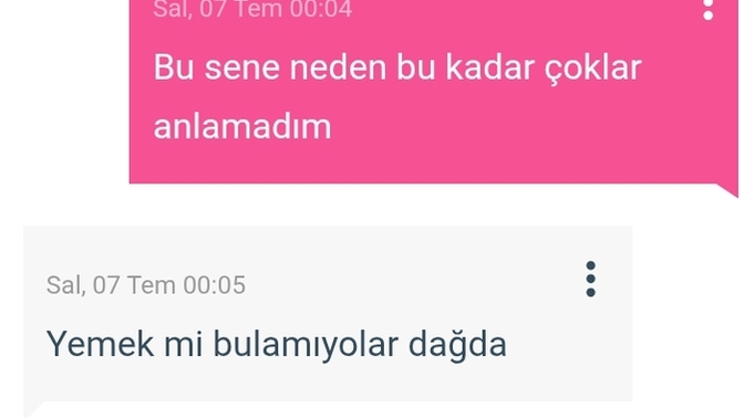 Hayatımdaki çakallar mı daha tehlikeli, bahçemdeki çakallar mı?