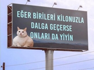 81 KS üyesinin 80 tanesi aynı kilo 1 tanesi farklıdır, kaç tartmada o değişiği bulursun:)?