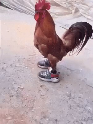 Erkekler neden paraya aşık?