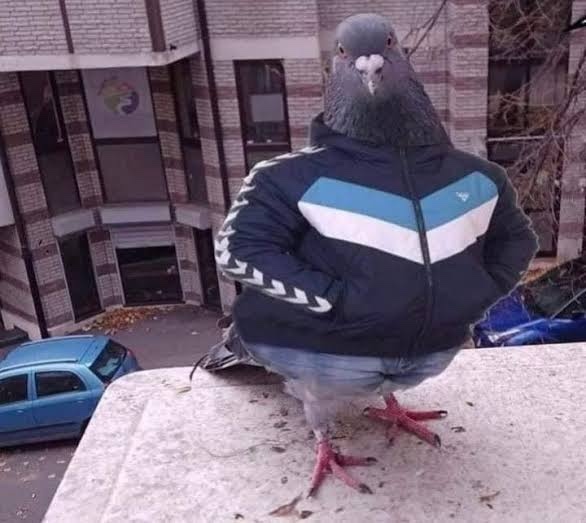 İlk buluşma için hangisi daha ideal 😄?