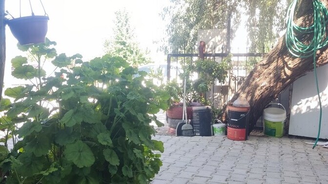 Bu sabah huzurlu uyandınız mı?