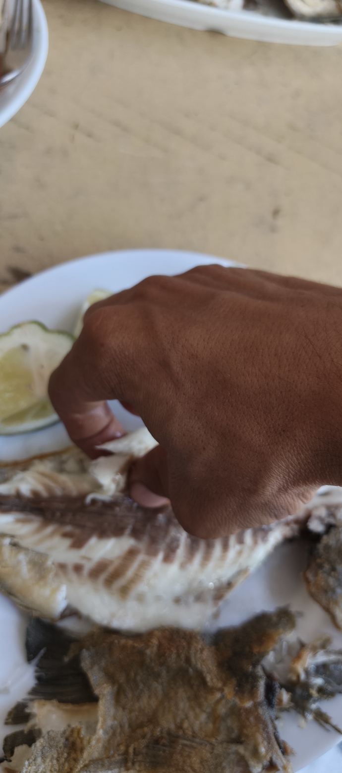Hayat parası olana mı yoksa yaşamasını bilene mi güzeldir?