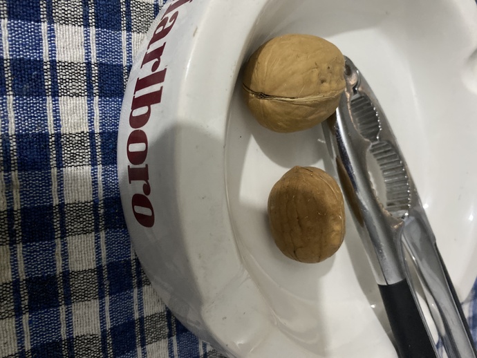 Kuru yemiş sever misiniz en sevdiğiniz hangisi?