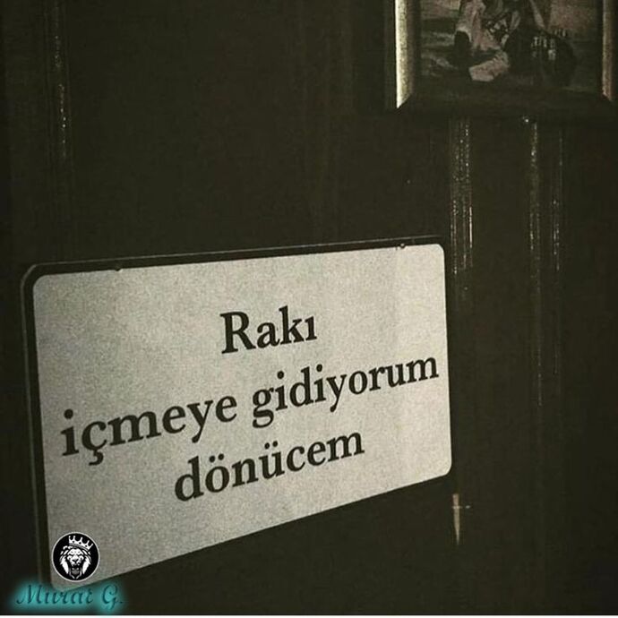 Rakı içmeyi sever misiniz?