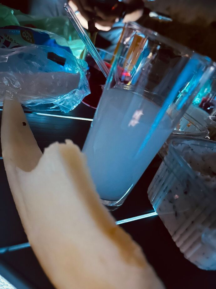 Rakı içmeyi sever misiniz?