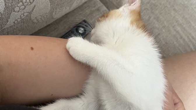 Anne olmak niye çok zor ya shxjskxkskkdm?