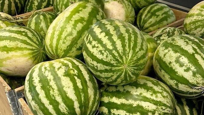 Karpuzu şaplakla mı seçiyorsunuz?