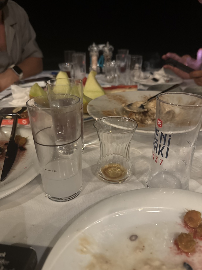 Rakı içiyor muyuz?
