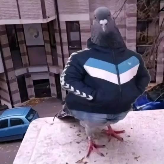 Sizce en overrated (abartılan) moda trendi hangisi?