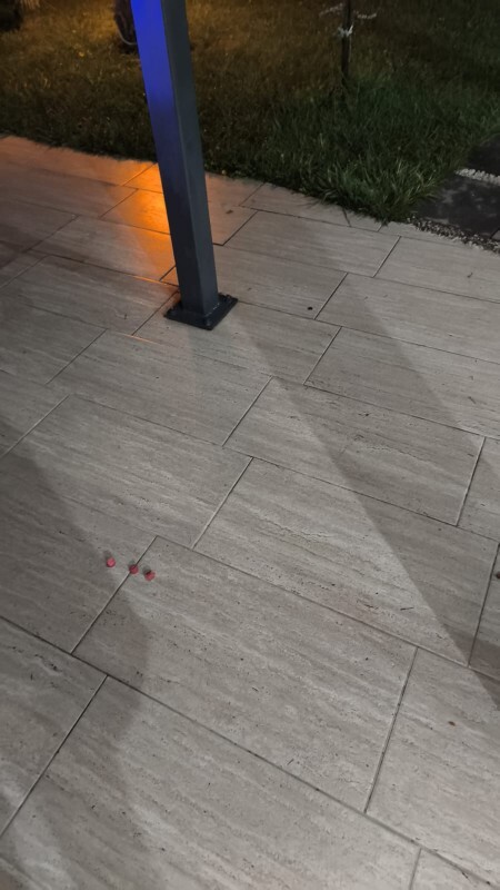 Yaralı bir kedi sokakta size yaklaşsa sever misiniz, ne yaparsınız?