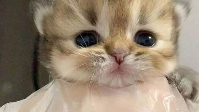 Bazi şarkılar niye ağlatıyor, bastırdığımız duyguları mı tetikliyor?