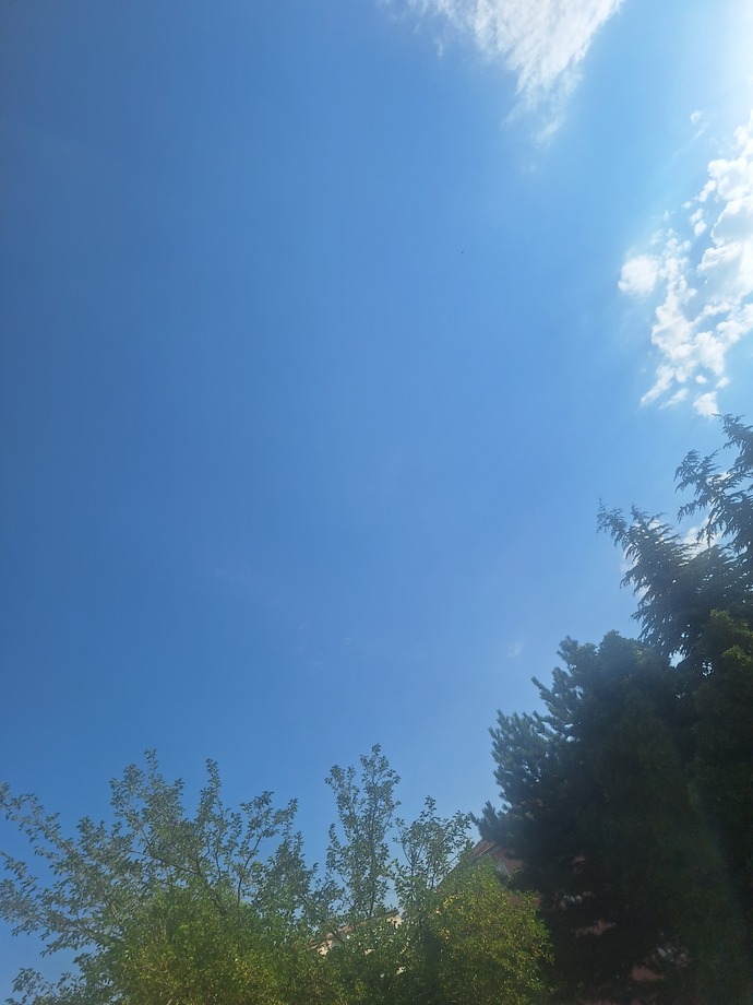 Size orijinal mis gibi fotoğraf ile günaydın diyorum. kuş cıvıltısı da mevcut. Gel de mutlu olma🥰☀️😊?