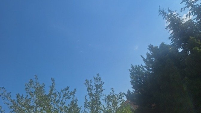 Size orijinal mis gibi fotoğraf ile günaydın diyorum. kuş cıvıltısı da mevcut. Gel de mutlu olma🥰☀️😊?