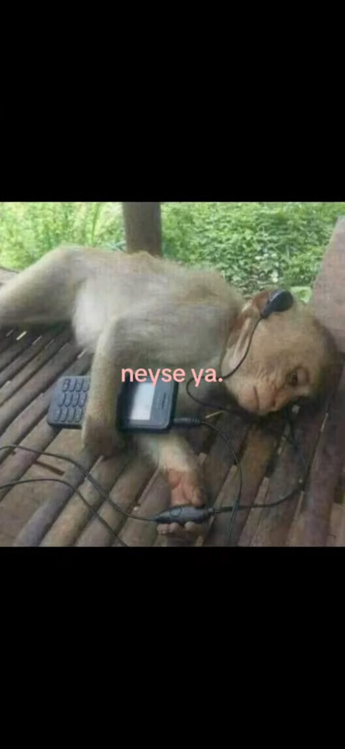 O bizi anlar demiştik... Suç gerçekten anlamayanda mı, yoksa çok anlam yükleyen bizde mi?