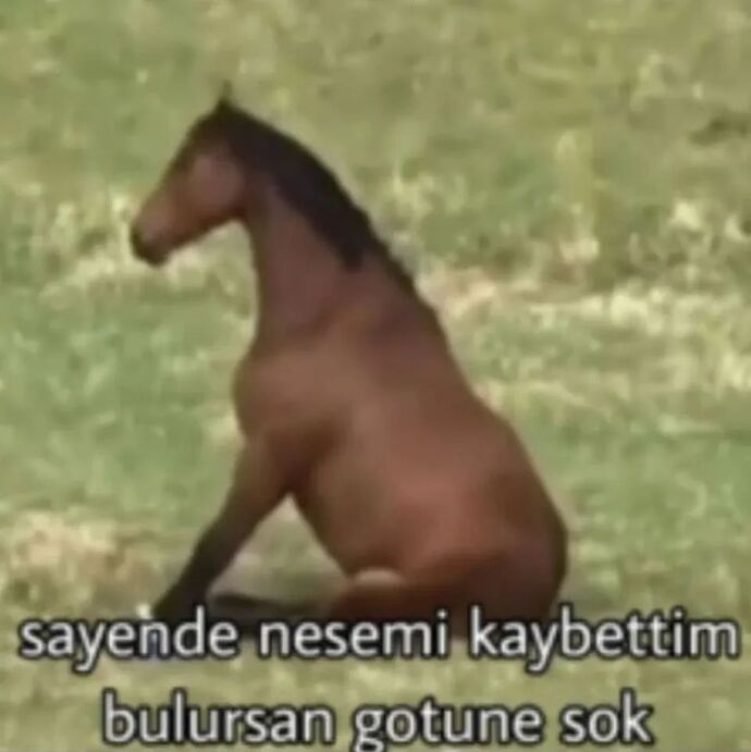 Sevgilim varken bu sitenin yolunu unutup, ayrılınca buraya kamp kurmamın sebebi ne?