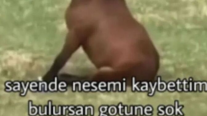 Sevgilim varken bu sitenin yolunu unutup, ayrılınca buraya kamp kurmamın sebebi ne?