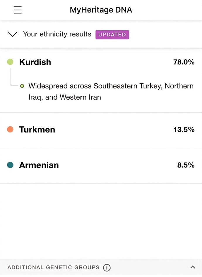 Etnik köken testi sonucum sizce nasıl, Ağrılı biri olarak ne çıkmış olabilirim?