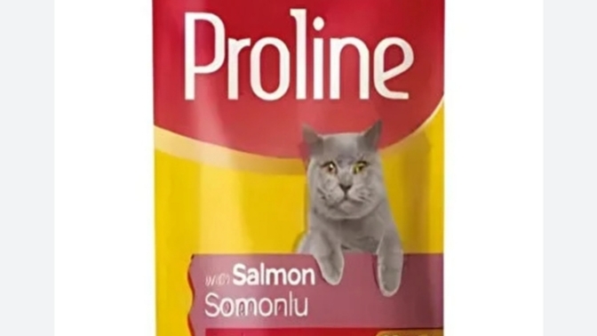 Proline yaş mama kediyi neden uyutuyor, bu mama gerçekten uyku yapar mı?