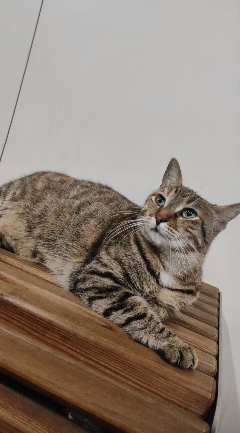 50 kr vermedim diye önümü kesti napmam lazım?