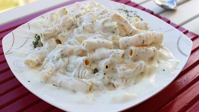 Yoğurtlu makarna mı noodle mı?