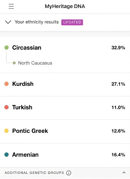 DNA testinde çıkan bu garip etnik köken sonuçlarını nasıl yorumlamalıyım?