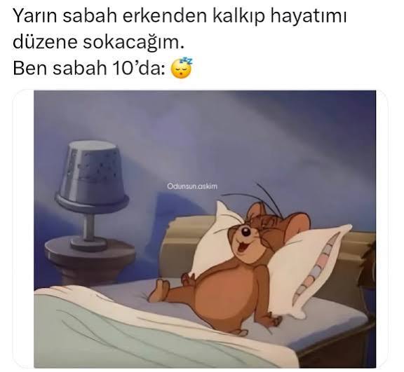 Gece yatağa yatınca yarın hayatımda şunları değiştirecem diye plan yapıp uyanınca hiçbir şey yapmayan kimler var?