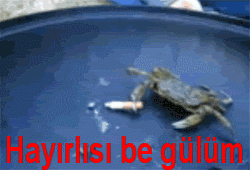 Burcunuza göre 1-12 arası sıralama yapayım mı?