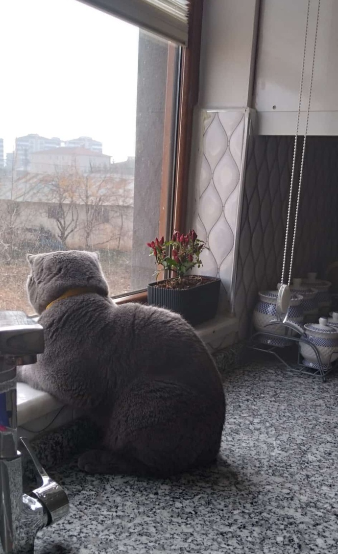 Sana da günaydın Duman :)))))