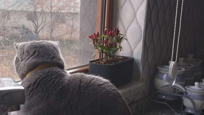 Sinir ve stresle nasıl başa çıkıyorsunuz neler yaparsınız?