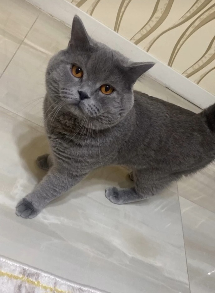 En sevdiğiniz kişisel özelliğiniz nedir, kendinizde en çok neyi seviyorsunuz?