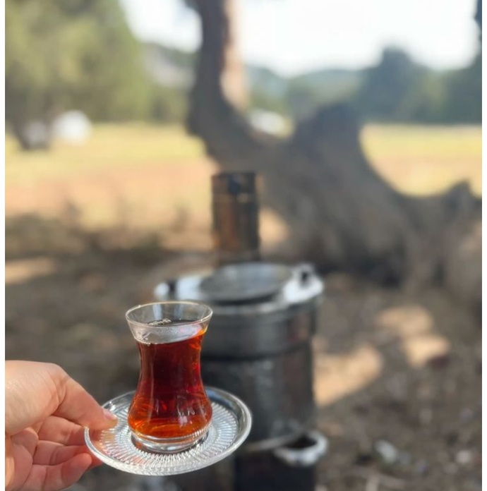 Sizin için ideal pazar nasıldır?