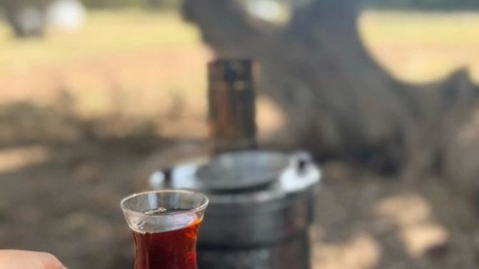 ​Sizin için ideal pazar nasıldır?