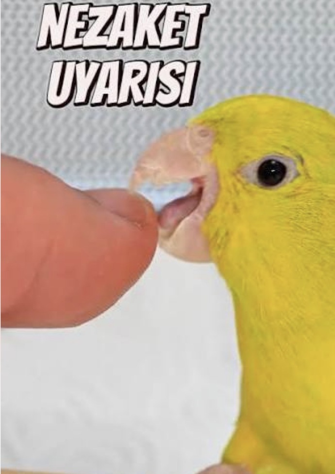 Karşı cinsten elini çek dediğin hareketler, davranışlar neler oluyor?