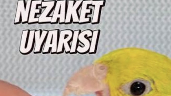 Karşı cinsten elini çek dediğin hareketler, davranışlar neler oluyor?