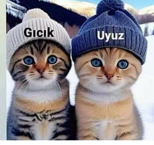 Hayatta sevmediğiniz, gıcık ya da uyuz olduğunuz biri var mı, neden?