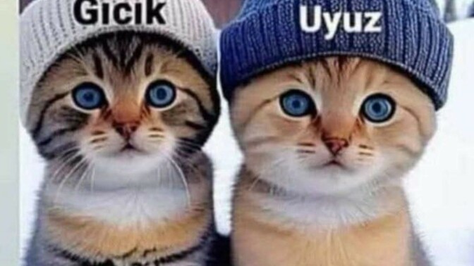 Hayatta sevmediğiniz, gıcık ya da uyuz olduğunuz biri var mı, neden?