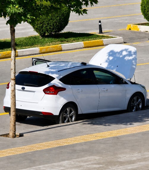Hangi tarz araba seviyorsun?