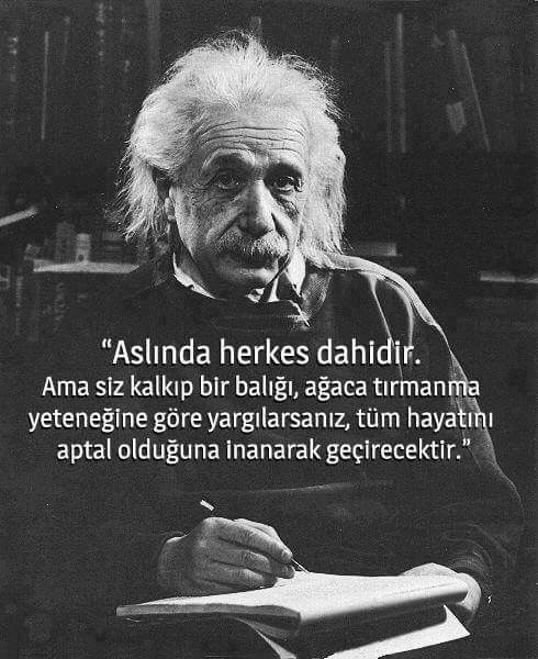 Zeka doğuştan mı gelir yoksa çevrenin etkisiyle gelişebilir mi?
