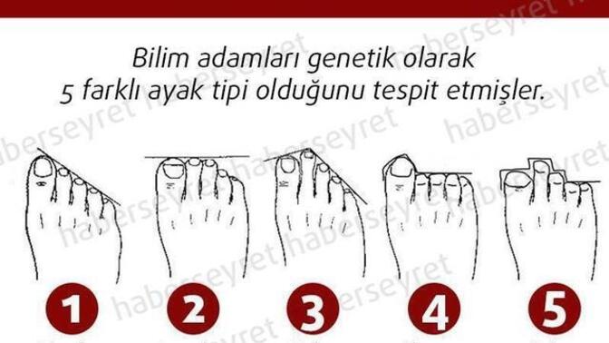 Sen ne ayaksın?