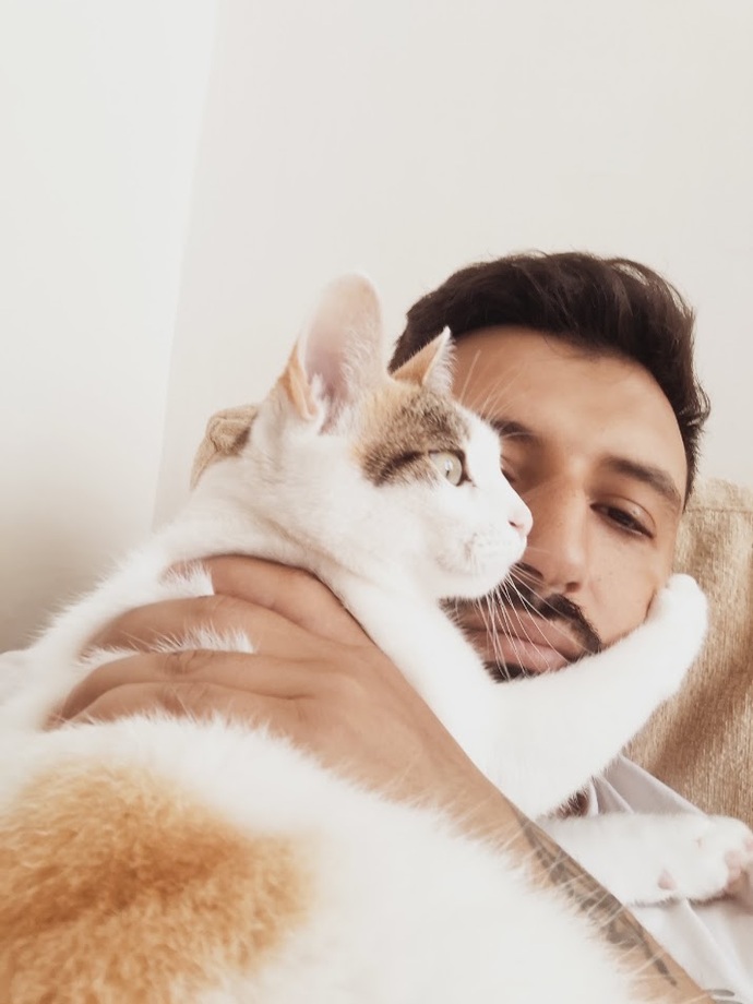 6 yıllık kedim kanna.