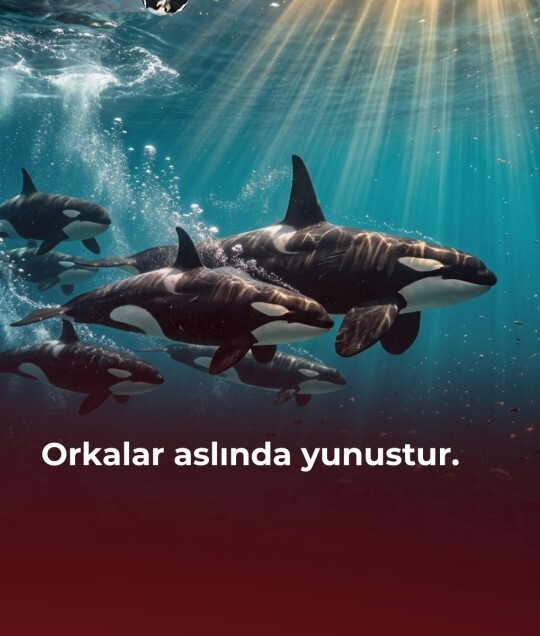 İçinizde yaşayan en vahşi ve asil hayvan hangisi?
