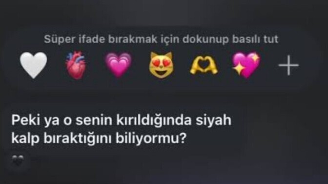 Sevdiğiniz sizin ne zaman , neye kırıldığınızı bilir mi?