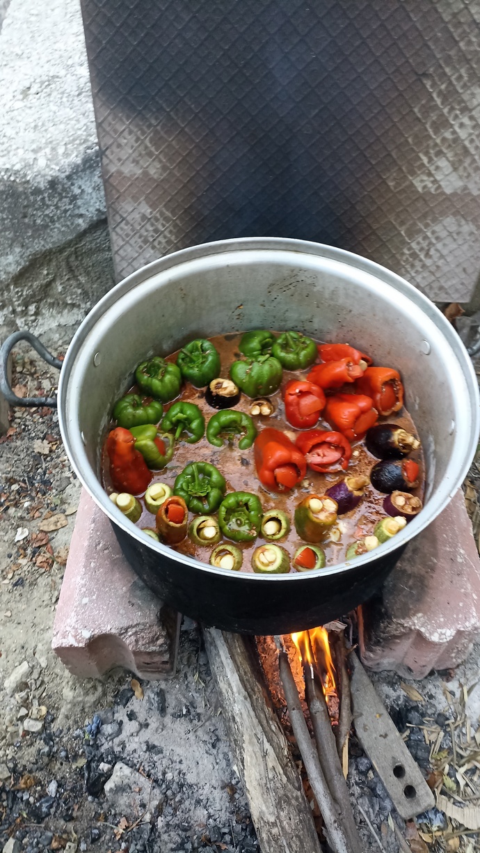 Odun ateşinde pişen dolma yaparsam yer misin, sen olsan ne dersin?