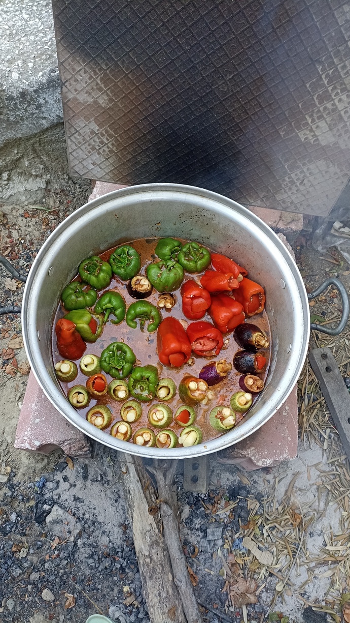 Odun ateşinde pişen dolma yaparsam yer misin, sen olsan ne dersin?