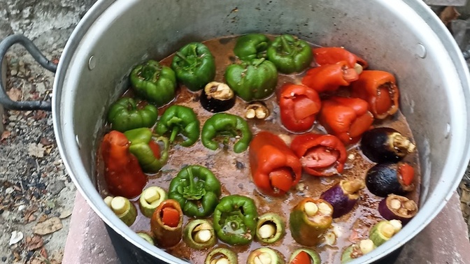 Odun ateşinde pişen dolma yaparsam yer misin, sen olsan ne dersin?
