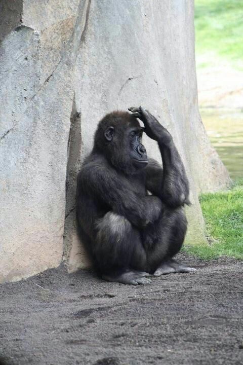 Overthink saatleriniz var mı?