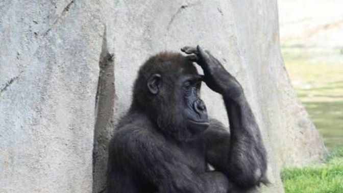 Overthink saatleriniz var mı?