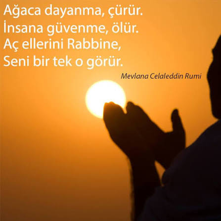 Siz sırtınızı nereye yaslarsanız güvende hissedersiniz ?